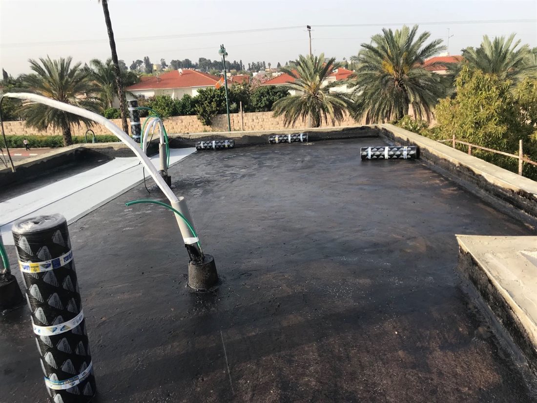 זיפות גג